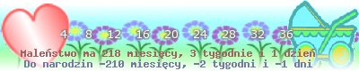 http://dziecko.haczewski.pl/suwaczek/2009/8/19/28.png
