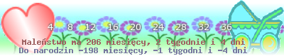 http://dziecko.haczewski.pl/suwaczek/2010/7/25/28.png