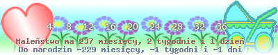 https://dziecko.haczewski.pl/suwaczek/2008/2/2/28.png