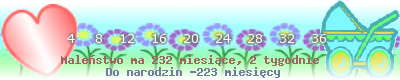 https://dziecko.haczewski.pl/suwaczek/2008/6/22/28.png