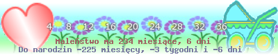 https://dziecko.haczewski.pl/suwaczek/2008/6/24/26.png