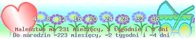 https://dziecko.haczewski.pl/suwaczek/2008/7/7/28.png
