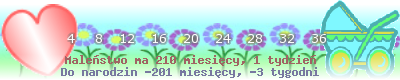 https://dziecko.haczewski.pl/suwaczek/2010/3/22/30.png