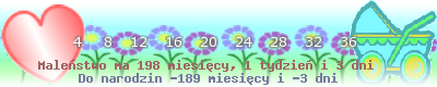 https://dziecko.haczewski.pl/suwaczek/2011/2/14/28.png