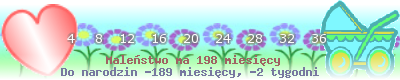 https://dziecko.haczewski.pl/suwaczek/2011/5/17/25.png